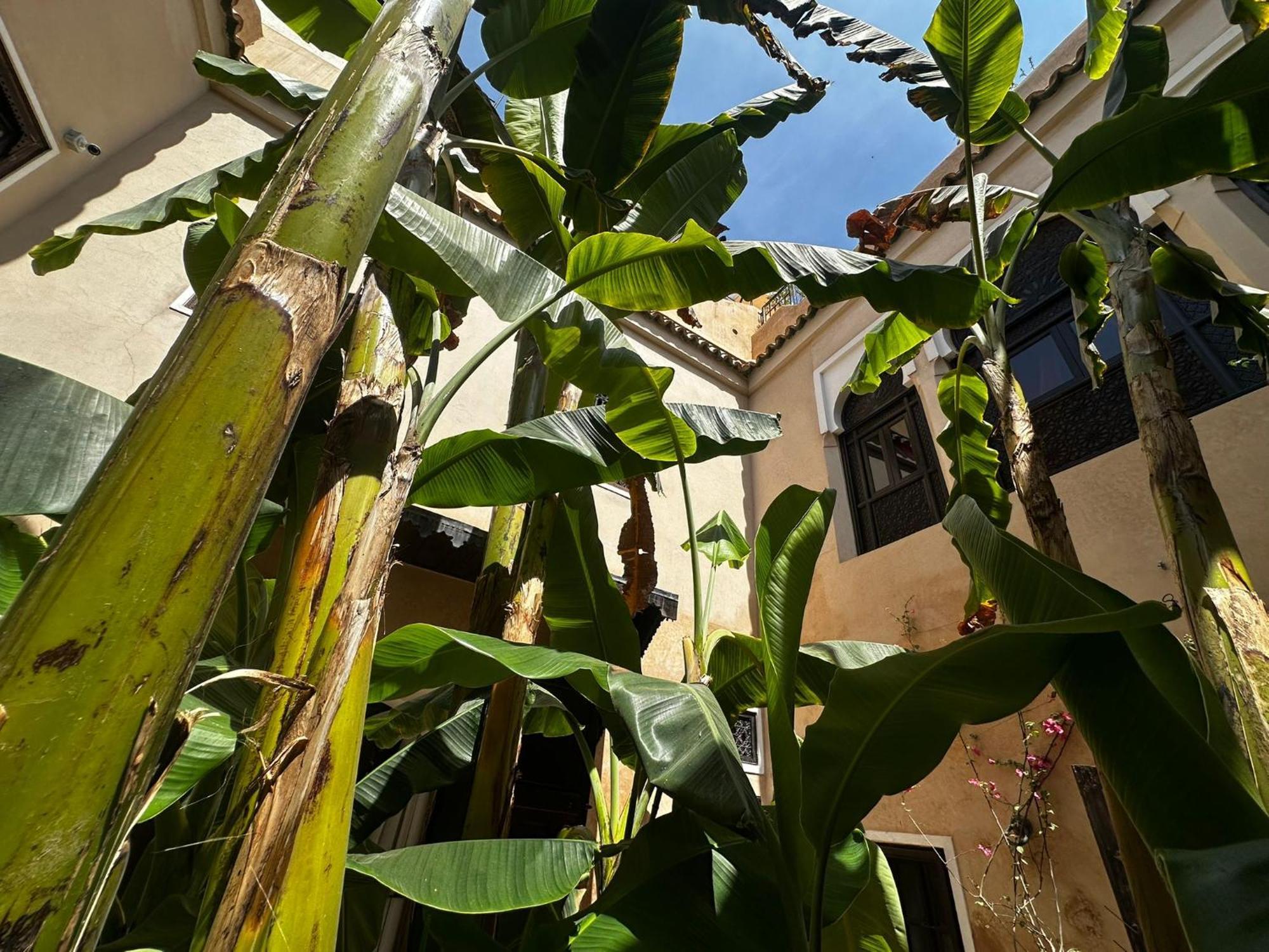 Riad Bamileke Marraquexe Exterior foto
